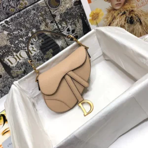 Dior Saddle Small Nude Color 21x18x5 cm